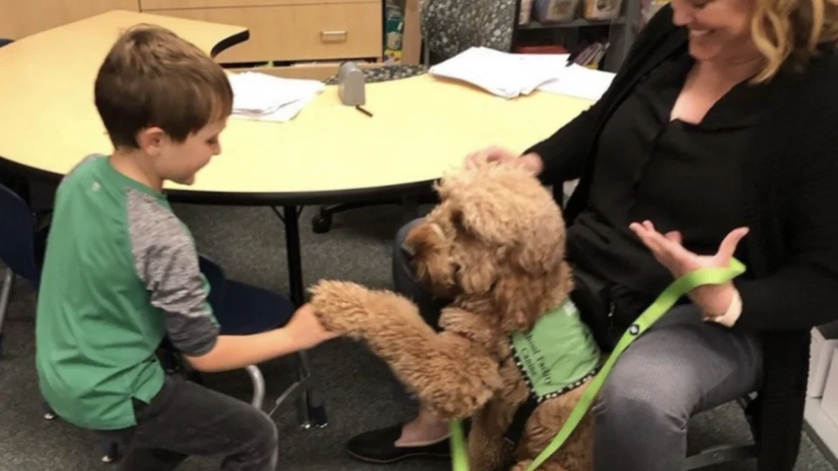 Southern California Non-Profit Expands Therapy Dog Program