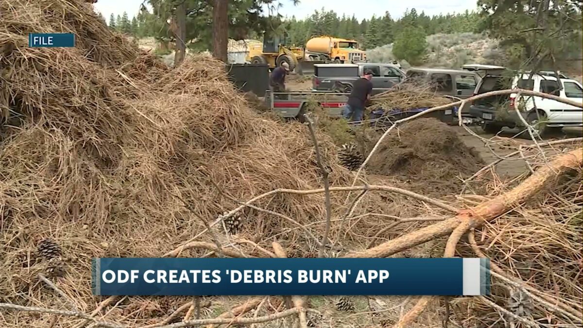 New app from ODF helps Oregon residents check local burn regulations and stay safe