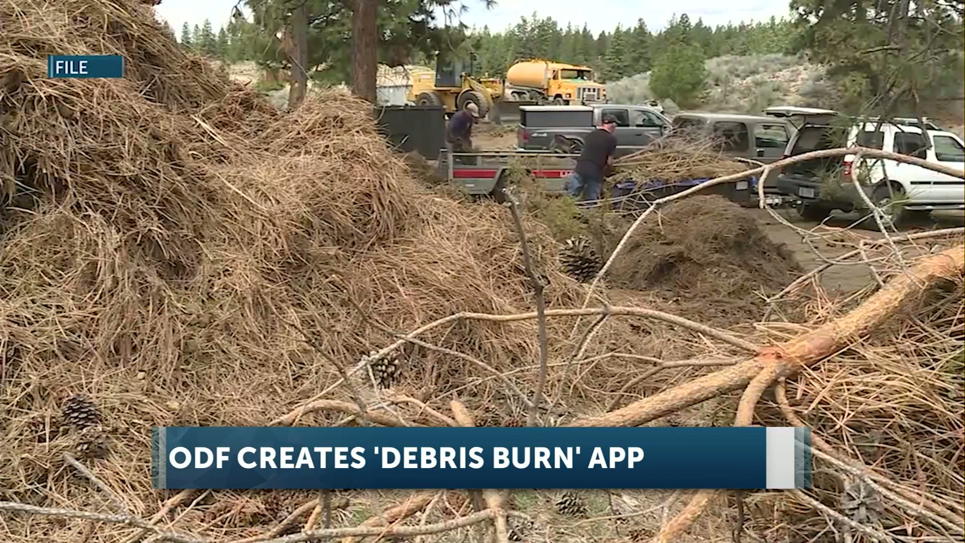 New app from ODF helps Oregon residents check local burn regulations and stay safe