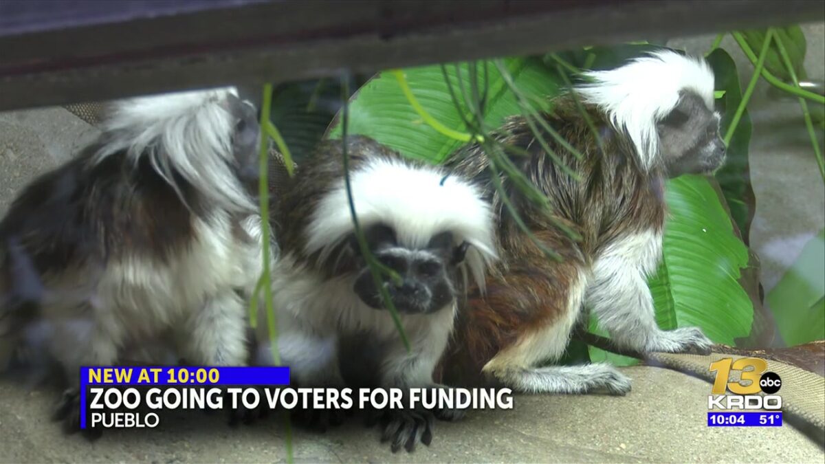 The next Pueblo Zoo funding request is coming at the ballot box; how did we get here?