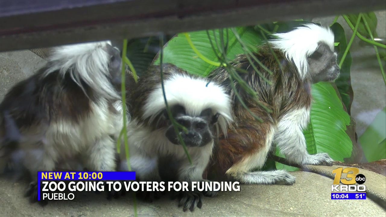 The next Pueblo Zoo funding request is coming at the ballot box; how did we get here?