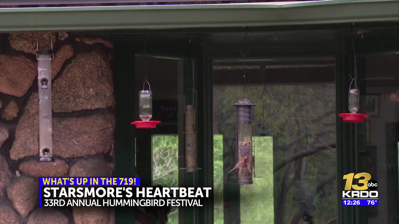 Free Hummingbird festival returns as Starsmore construction nears completion