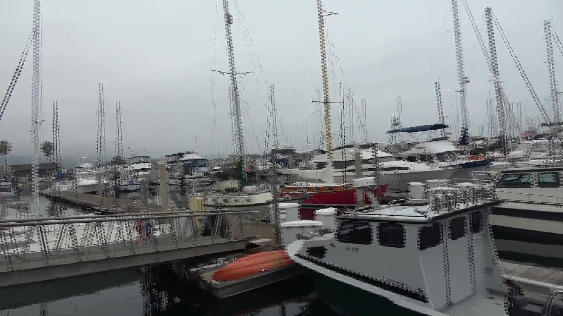 The Santa Barbara  Waterfront is Cleaner After Weekend Efforts