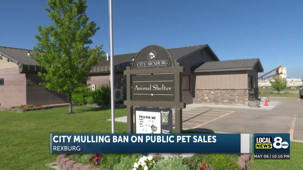 Rexburg Considering Crackdown on Pet Sales in the City