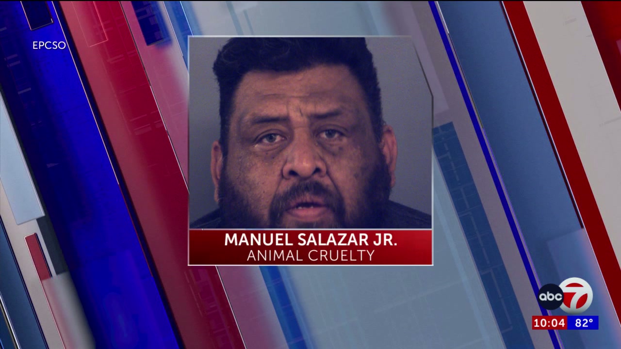 Man charged for animal cruelty after deputies find malnourished dog