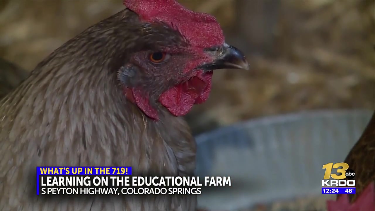 Educational farm teaches children and families about the country lifestyle