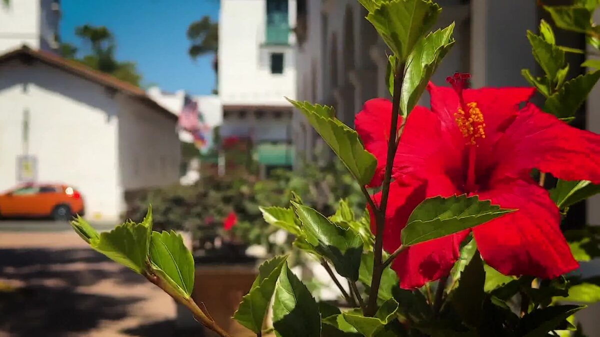 EXCLUSIVE: Non-Profit Steps In For Santa Barbara Woman on Brink of Eviction
