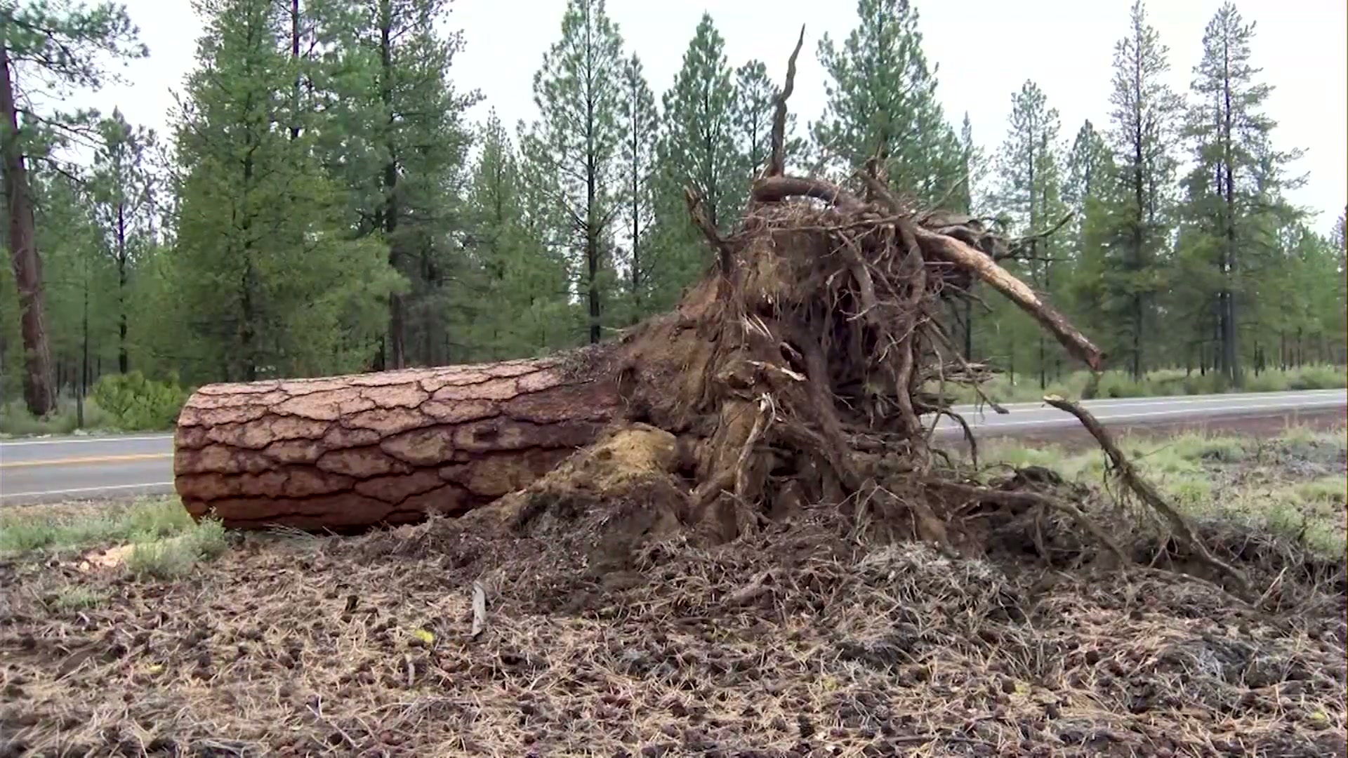 Emergency officials urge caution as severe weather threatens Central Oregon