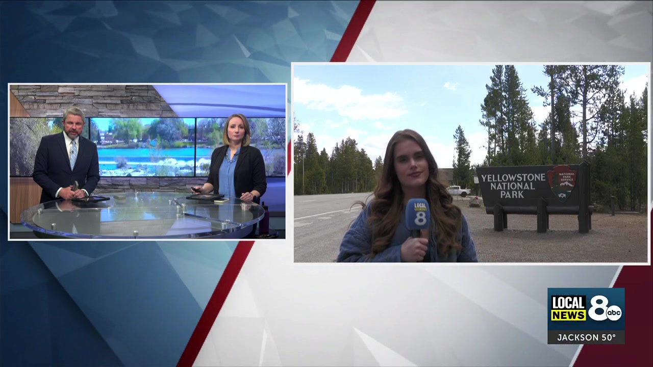 Two injured in Yellowstone Bear encounter near Mystic Falls Trail