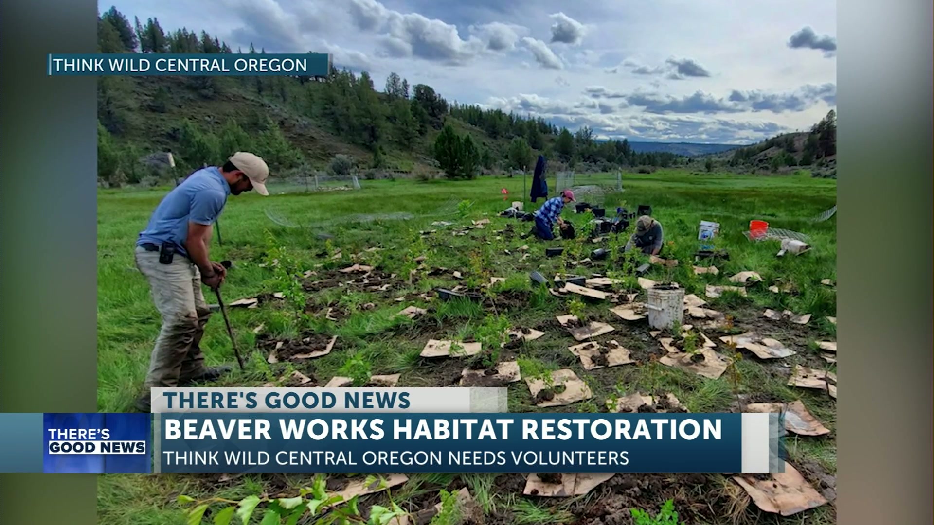 There’s Good News: Beaver Works restoration projects coming to Malheur and Ochoco National Forests; volunteers needed