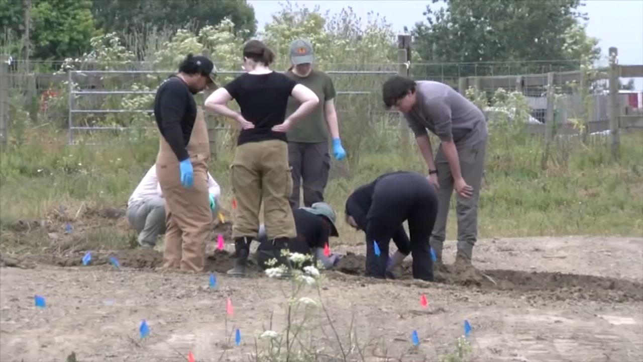 Federal and state investigators are excavating a Fortuna animal rescue after uncovering dozens of dog remains. Over 700 dogs remain missing.