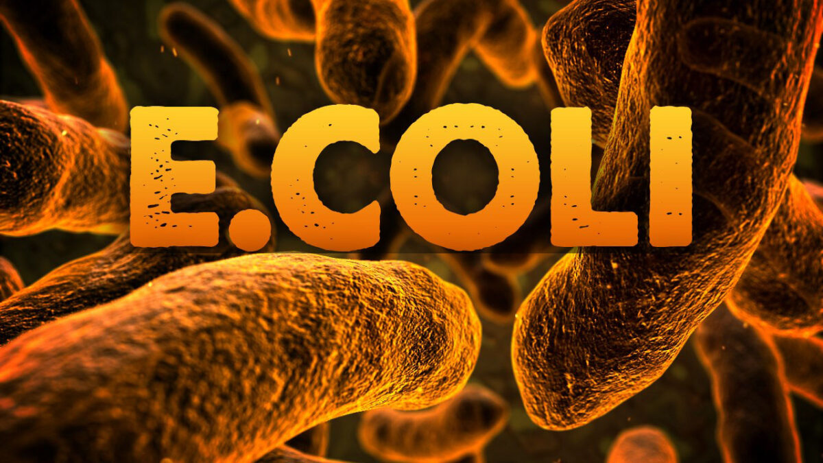 E. coli warning issued for portions of Flat Creek in Jackson