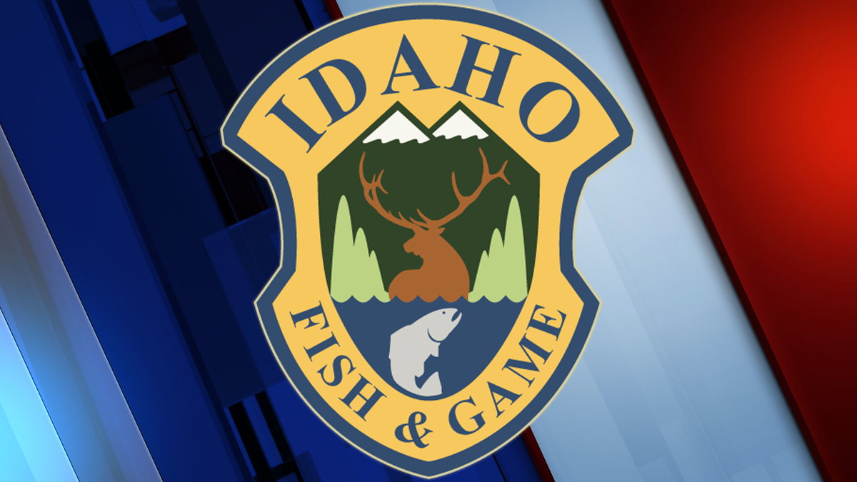 East Idaho wildlife advisory: Distemper found in raccoons