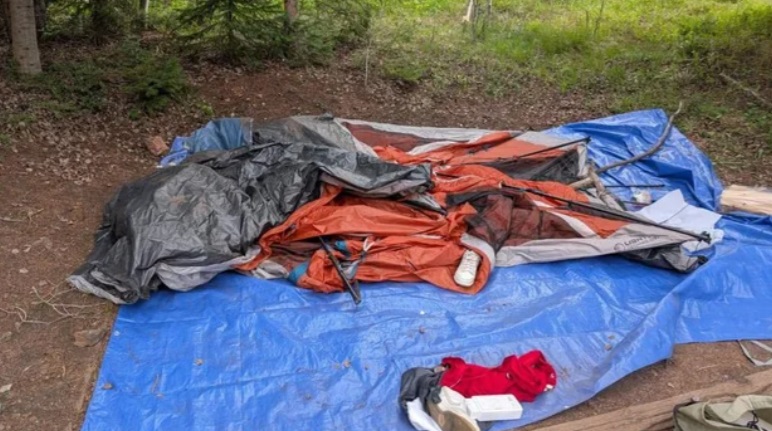 A tent was damaged at the Gore Creek Campground by bears.