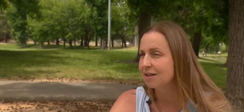 Bystanders tackled and restrained a man who was assaulting a family at Chana Park in North Auburn last month