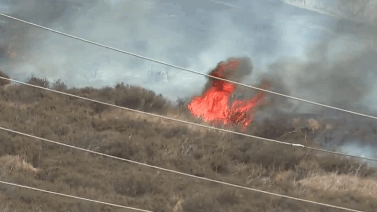 A brush fire broke out in San Diego's Sorrento Valley area Monday morning