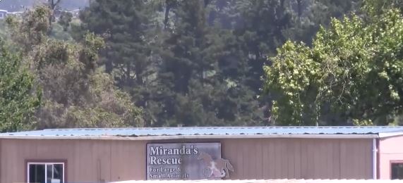 The remains of over 100 dogs were found at a Northern California animal sanctuary during an investigation into suspected animal cruelty