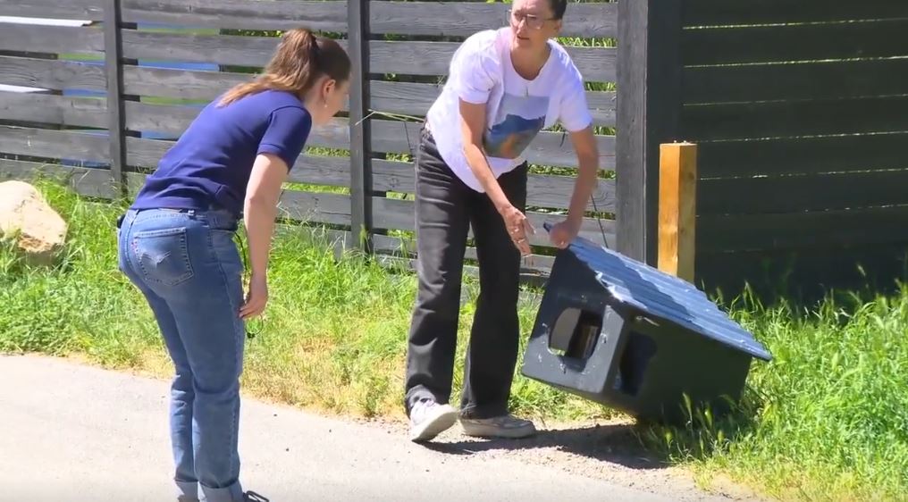 Little libraries are spread throughout Salt Lake City
