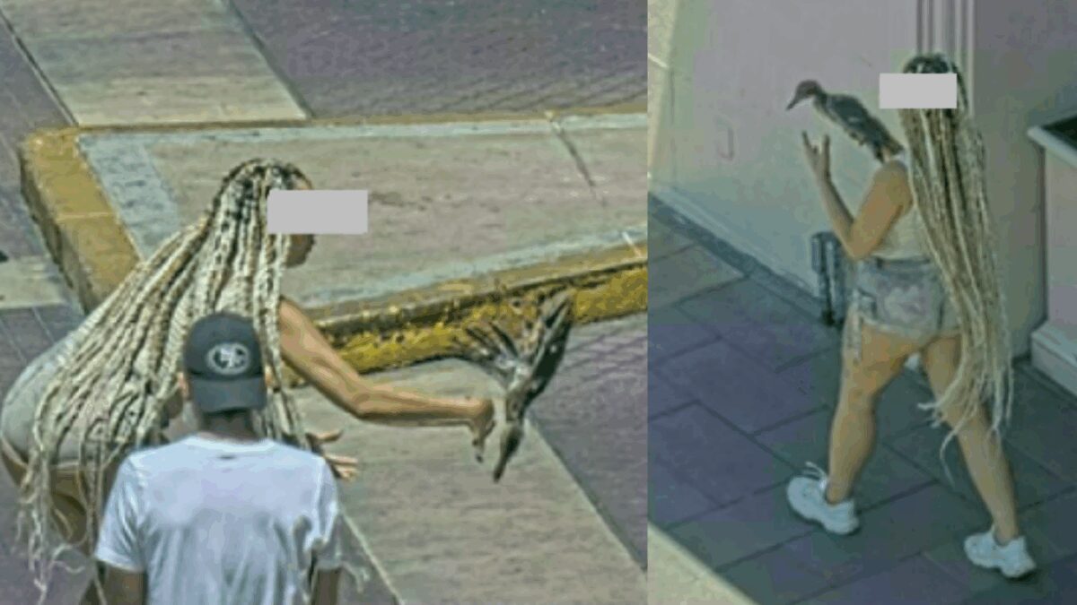 A woman if facing charges connected to hurting an animal after police say she took a duck from a Las Vegas Strip property.