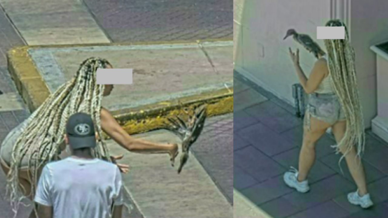 A woman if facing charges connected to hurting an animal after police say she took a duck from a Las Vegas Strip property.