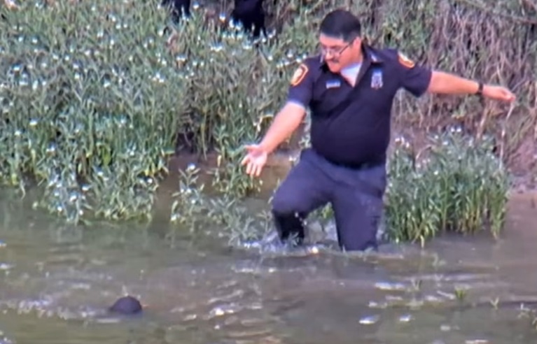 An officer saved a missing boy from a near drowning on Friday after finding the youngster partially submerged