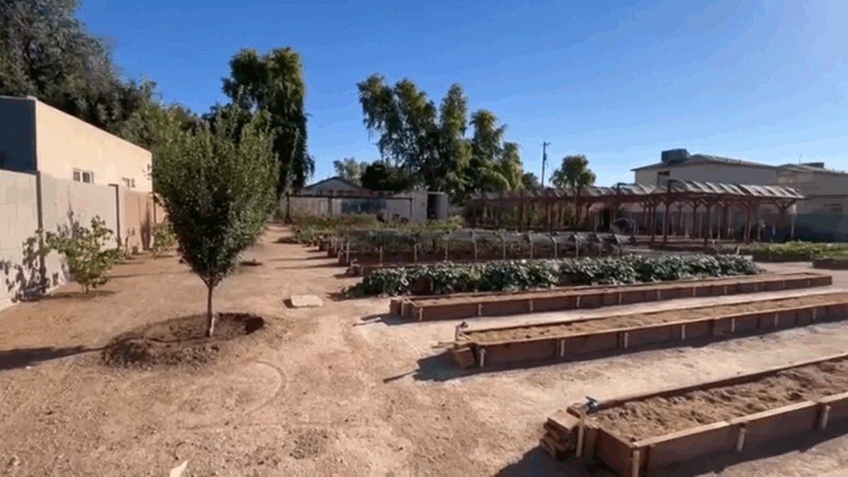 The Phoenix nonprofit has donated 100 percent of its harvest since opening less than 2 years ago