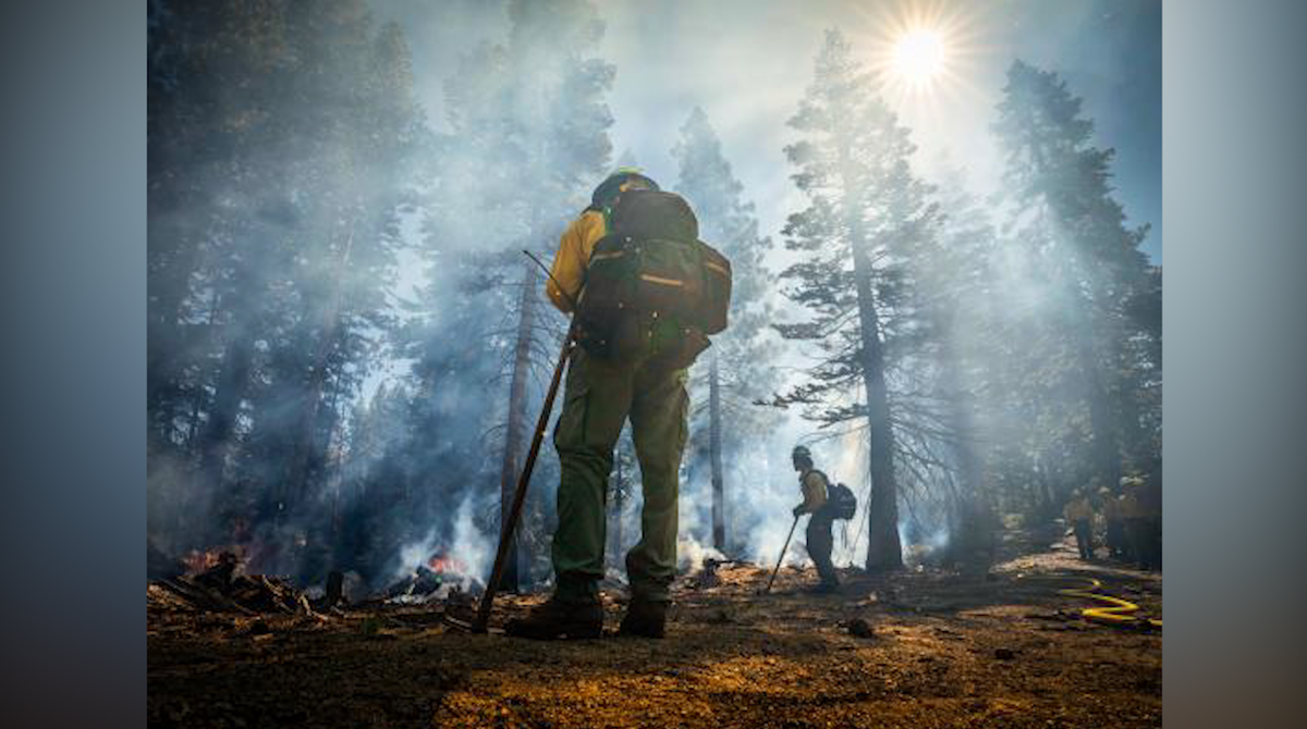 Tragic loss: Three firefighters die fighting Colorado’s Knowles Fire