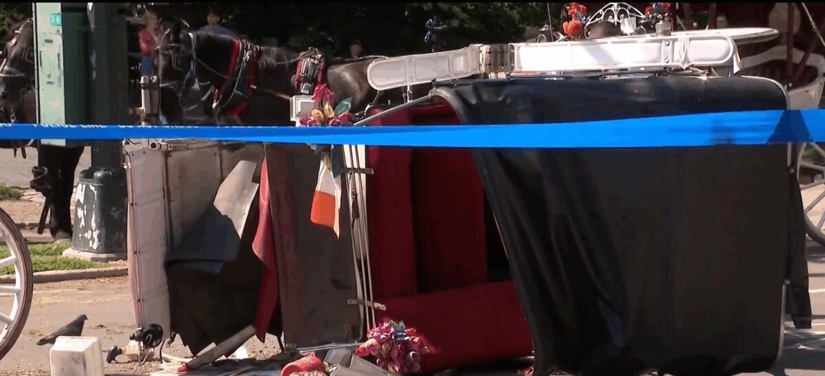 The parents of the teen killed in the horse carriage crash in Central Park are remembering their son.