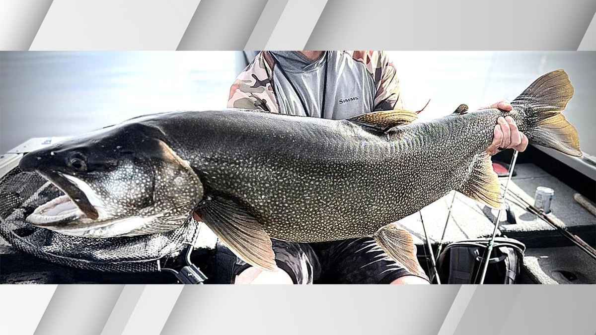Idaho Falls Angler lands 43.25-inch lake trout