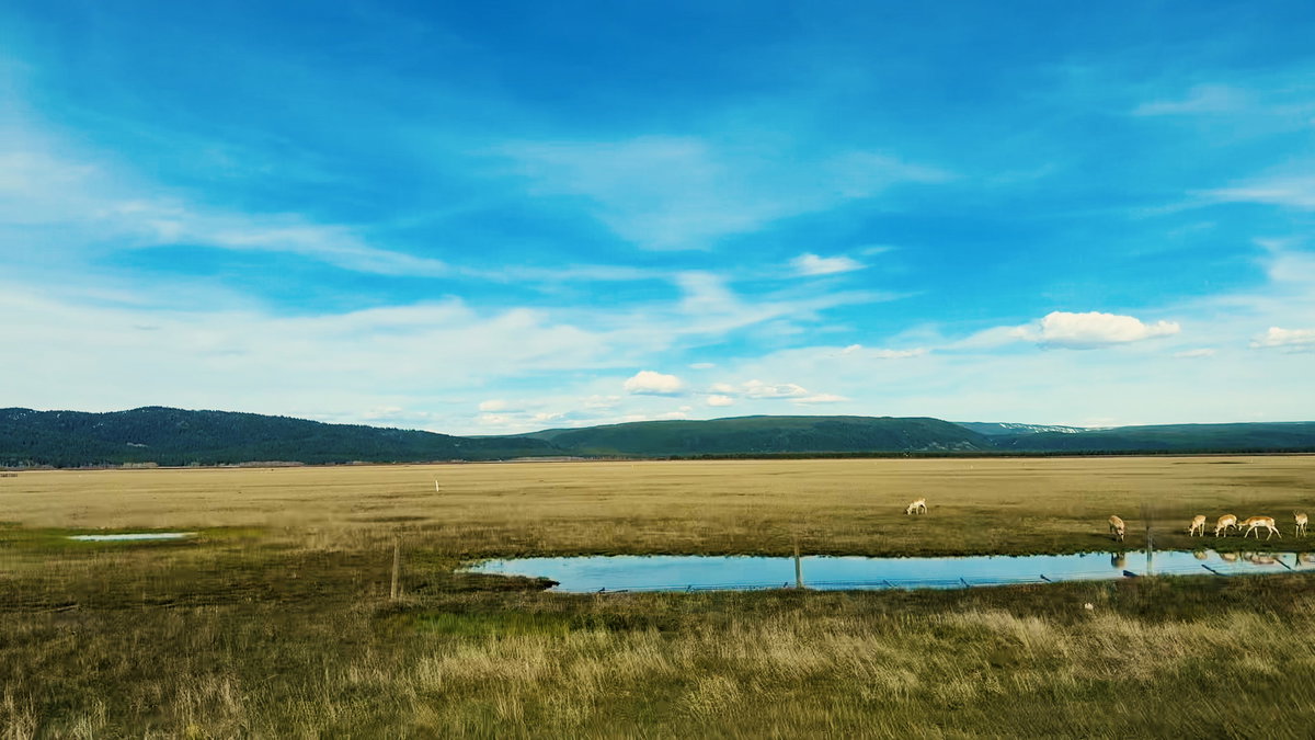 Island Park Planning and Zoning Commission denies controversial Henry’s Lake Flats rezoning request