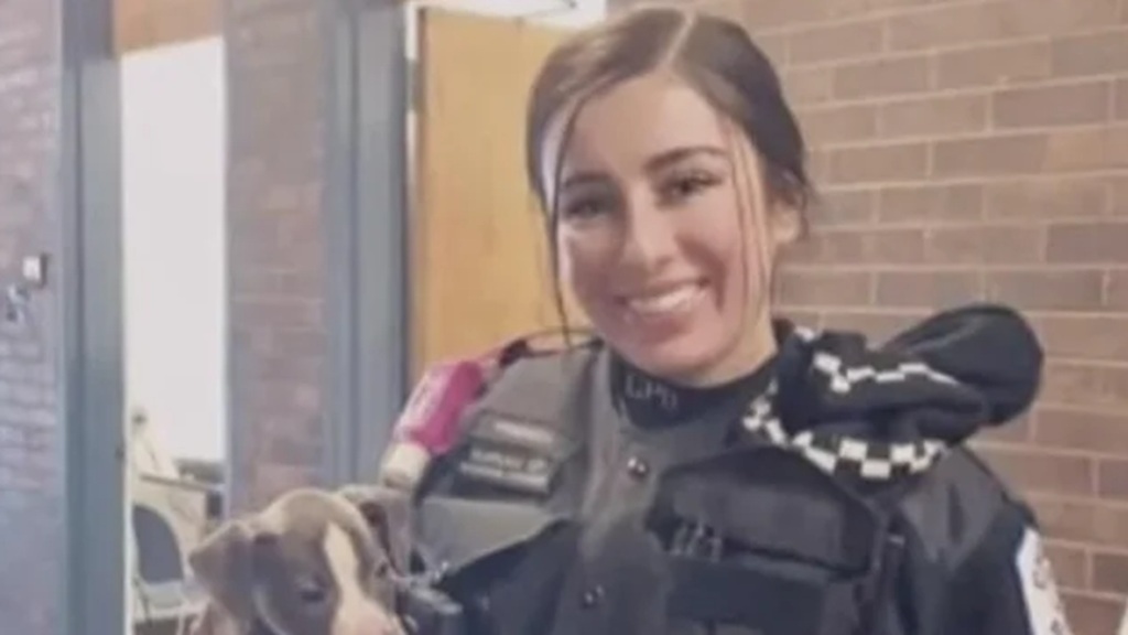 Five years after Chicago police officer Ella French was shot and killed in the line of duty