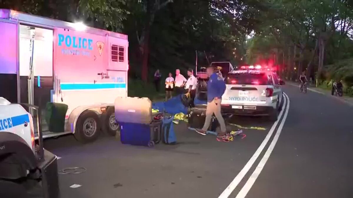 A carriage horse collapsed and died in Central Park on Tuesday