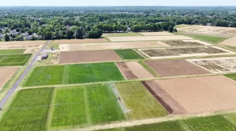 Ten of the 16 stadiums hosting matches across North America have pitches made of Rutgers turfgrass