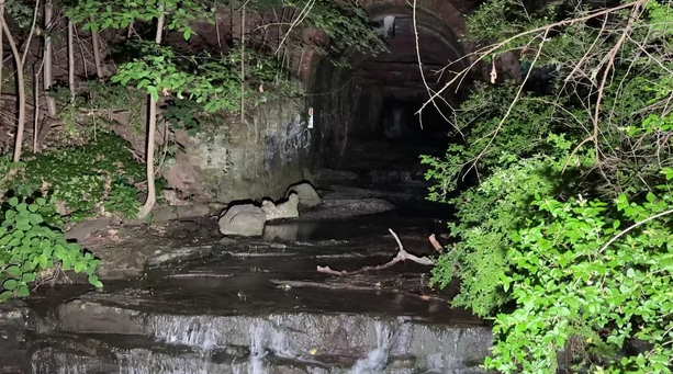 Nyack Mayor Joe Rand said dozens of young girls were on a school trip visiting Nyack Memorial Park on June 10