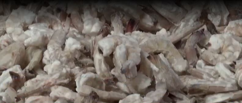 SeaD Consulting sampled shrimp dishes from 22 Savannah-area restaurants this spring and found only nine contained American wild-caught shrimp. The other 13 dishes