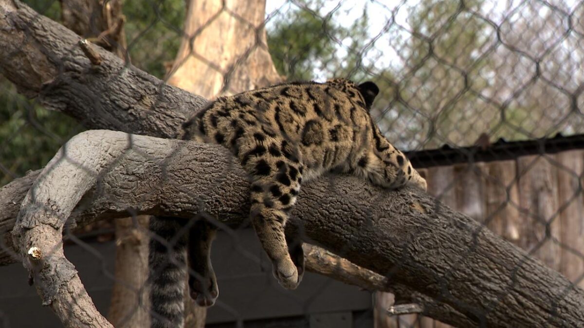 South Nashville residents are pushing back against a proposed data center near the Nashville Zoo.