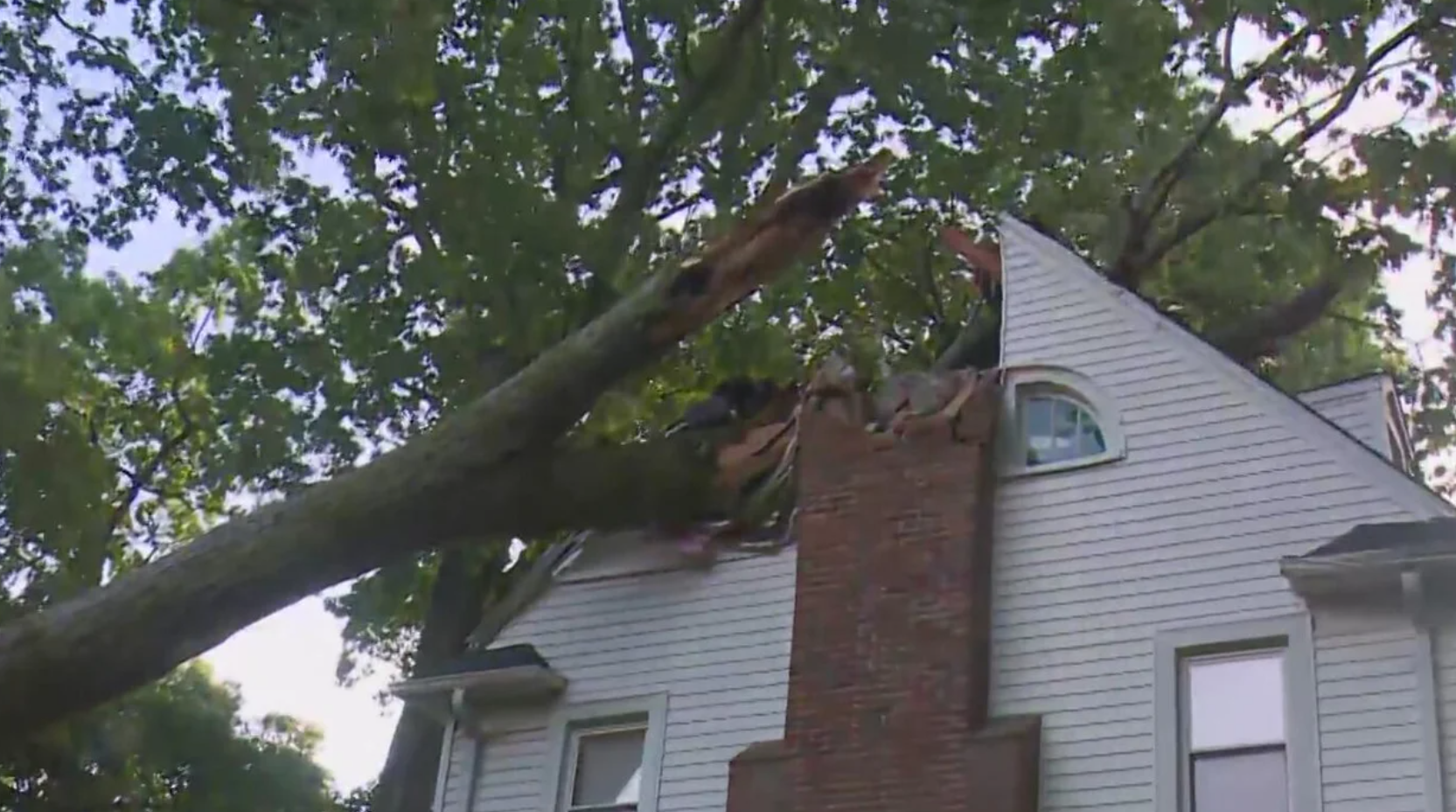 A tree fell about 1:30 a.m. June 12