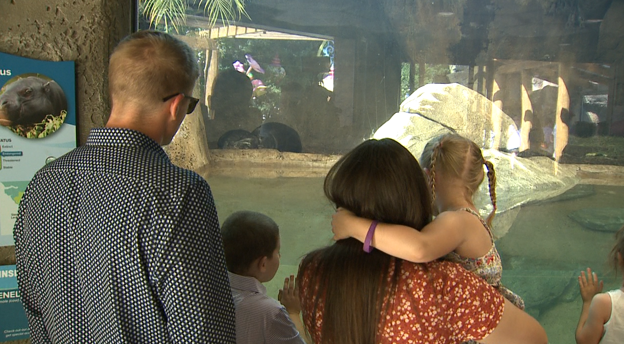 Jessica Martin and her family visited John Ball Zoo for the first time this month since losing her mother to cancer earlier this year — and they did it with a little help from the zoo itself.