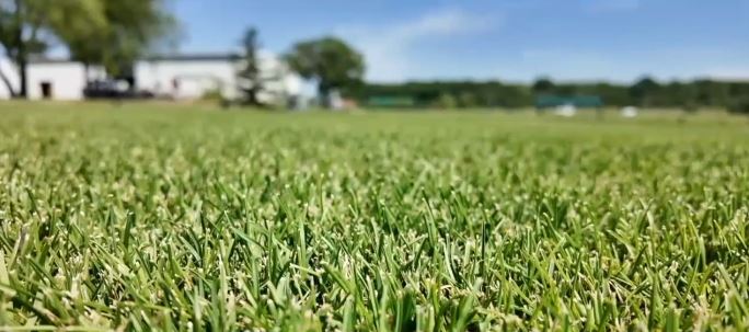 Turfgrass researchers at Michigan State University played a key role in creating the playing surfaces for all 16 FIFA World Cup stadiums.