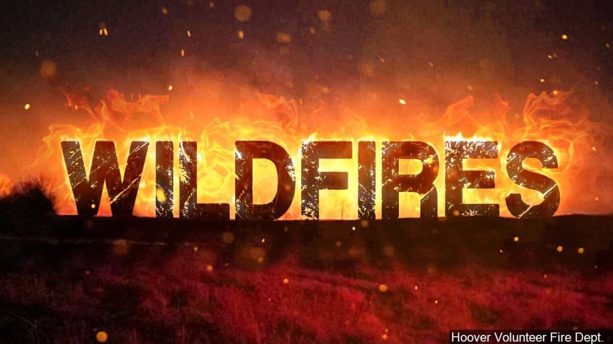 30-Acre brush fire burning near Pocatello Regional Airport; Multiple agencies responding