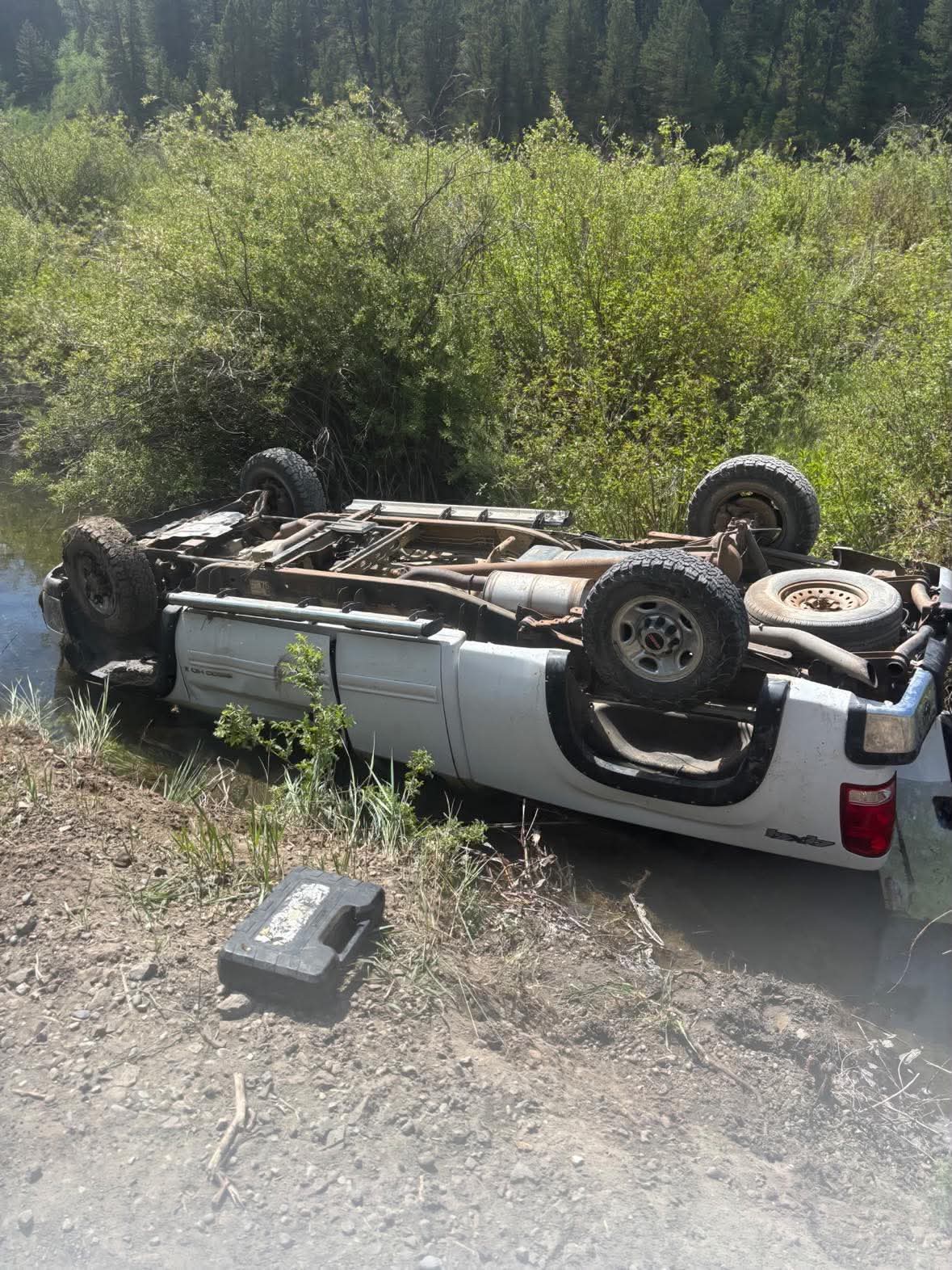 Five Skyline High School teens dive into creek to rescue family from car accident