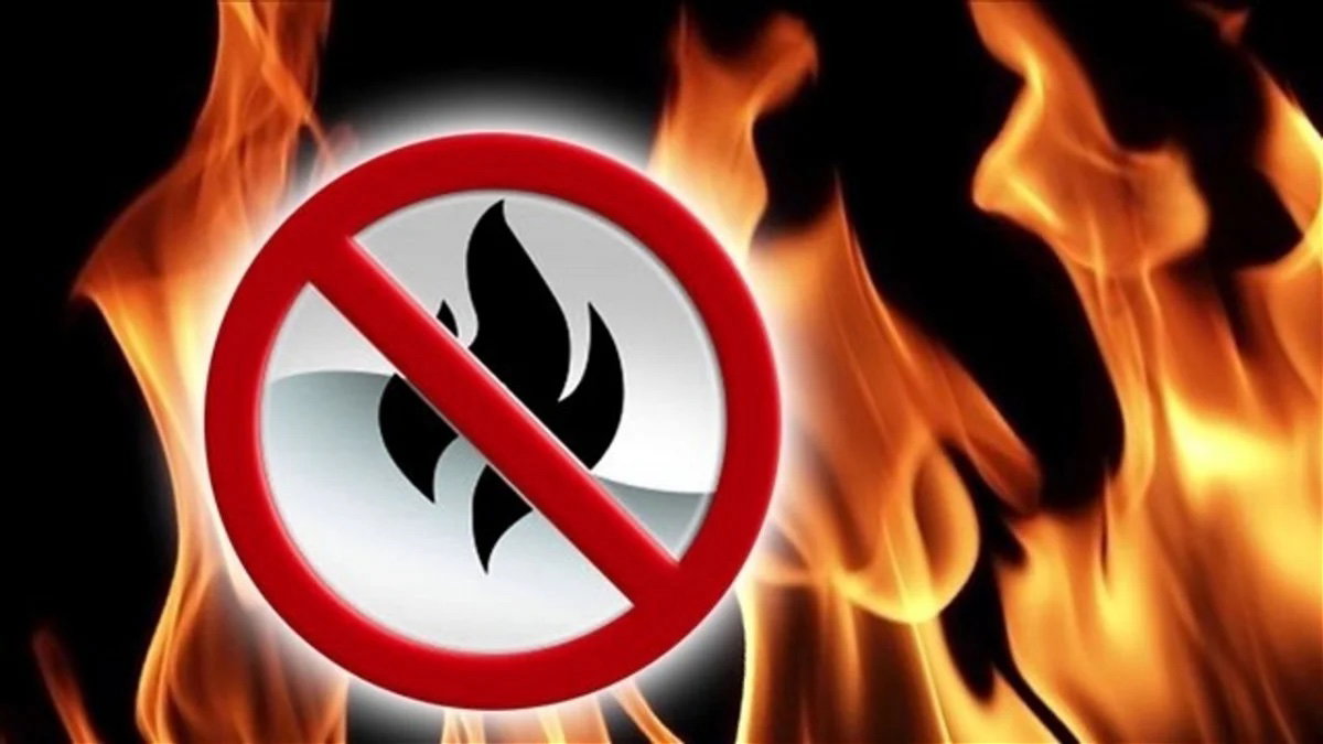 Burn ban issued for Bingham County until September 30
