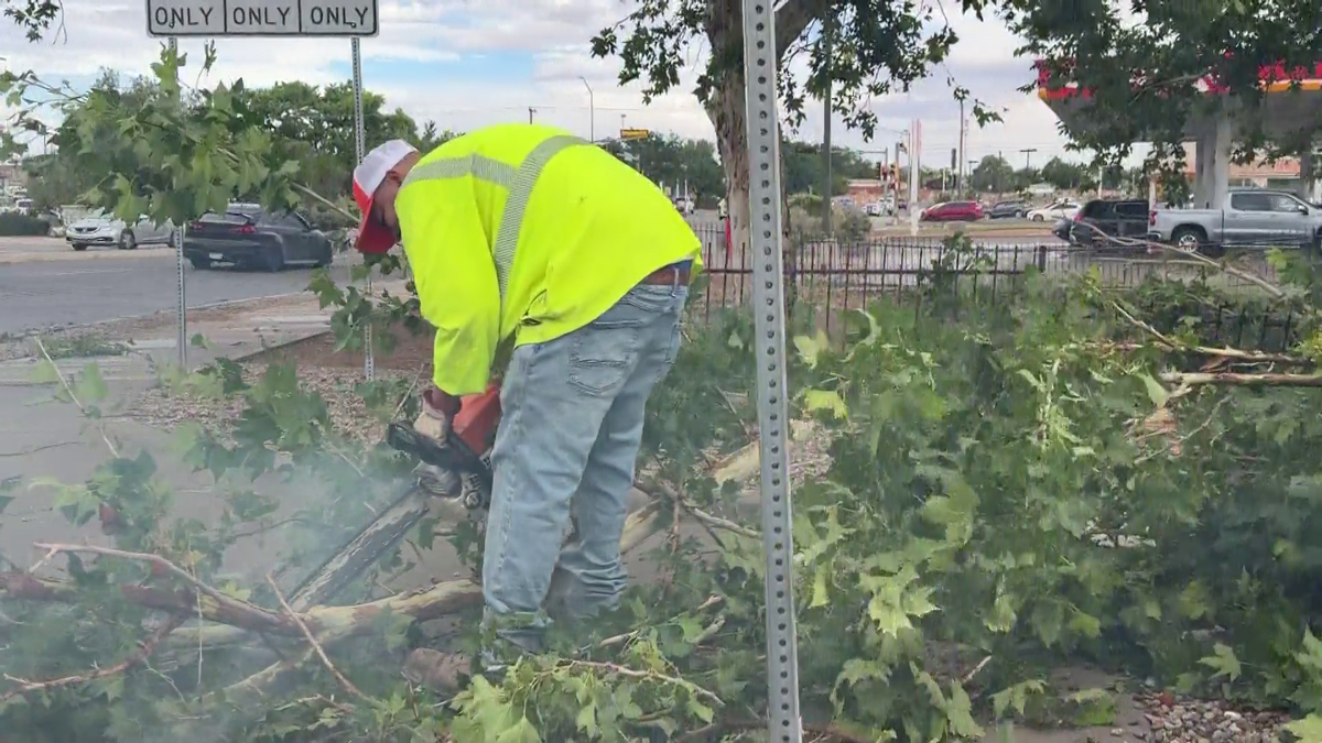 Crews were seen across the village cleaning up broken tree limbs
