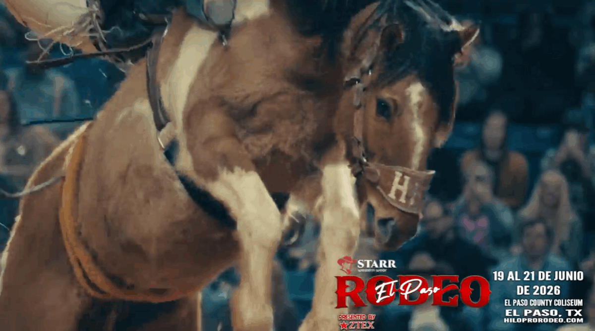 Saddle up for Starr Western Wear’s weekend rodeo in El Paso