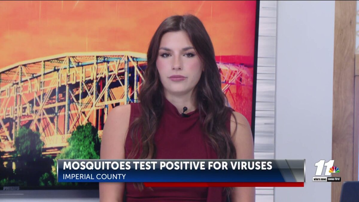 Mosquitoes in Imperial County test positive for viruses that causes serious illness