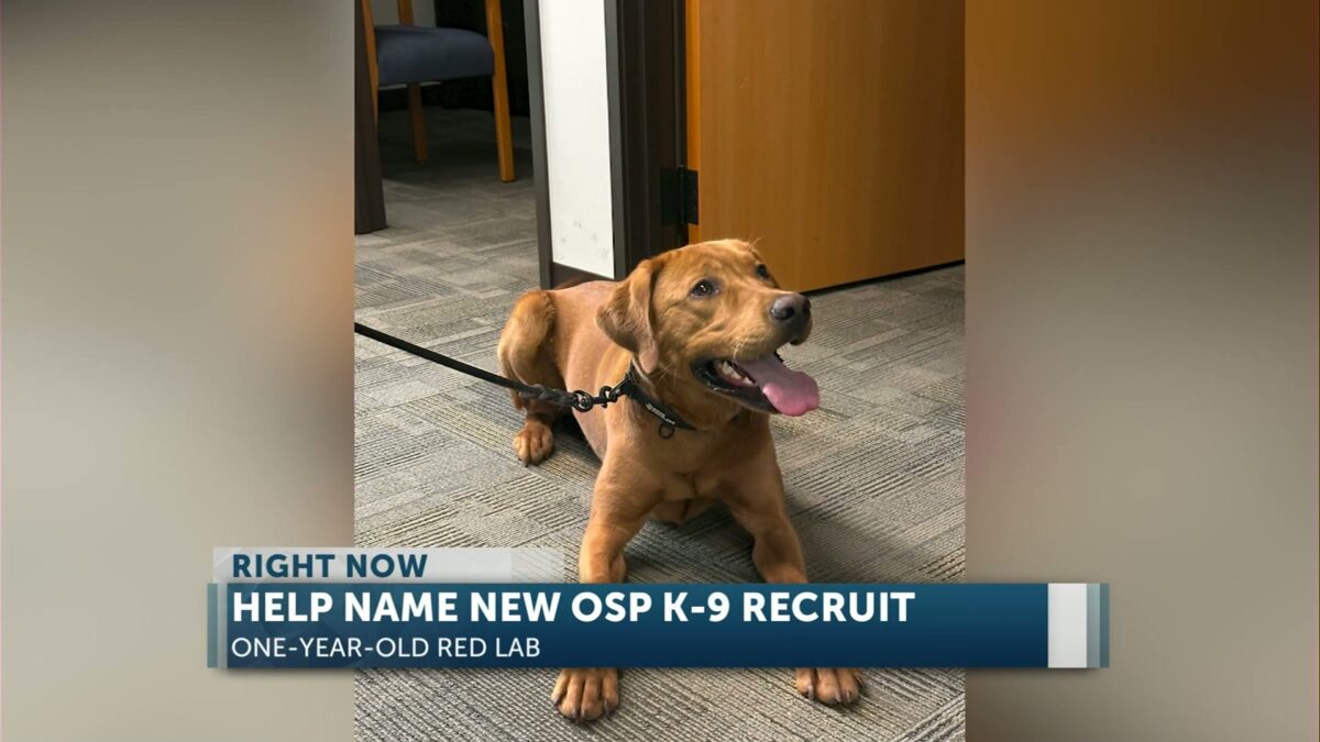 Help name Oregon State Police’s new K-9 trooper