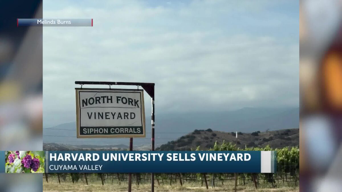 Harvard Pulls Out Of The Cuyama Valley