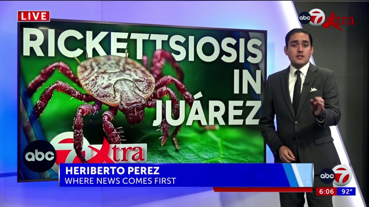 City of Juárez raises awareness over rickettsiosis cases on the border