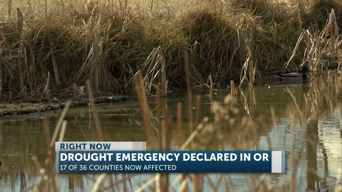 Drought emergency declared in Oregon counties