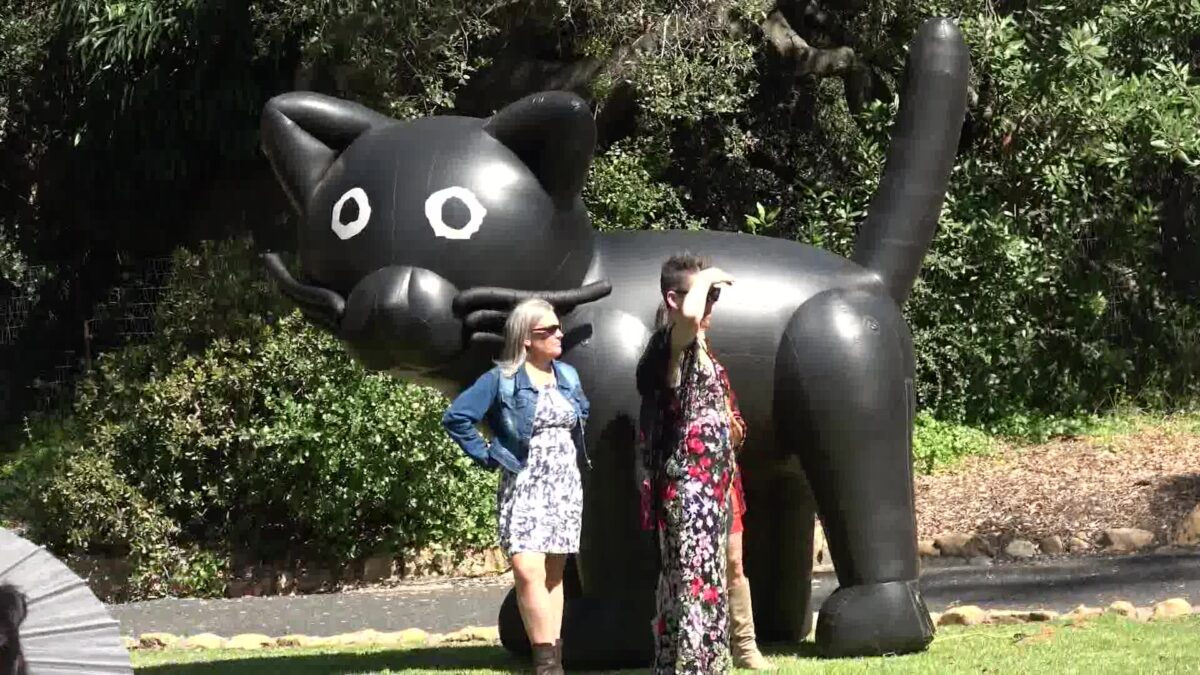 Basil’s Big Bash is the ‘Cat’s Meow’ of Fundraisers